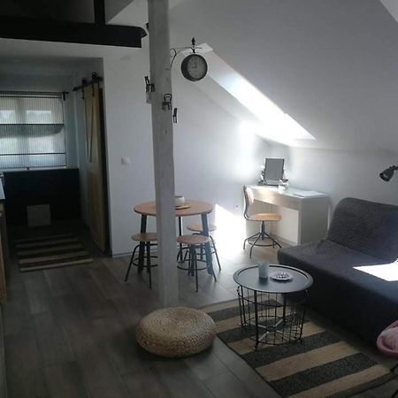 Studio Apartman Hana Apartment Drežnik Grad Exterior foto