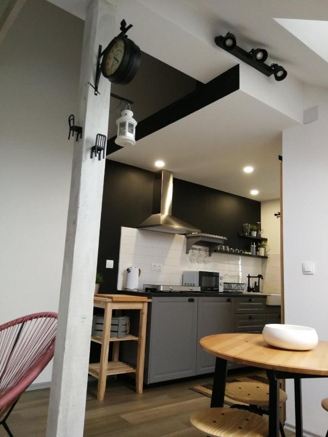 Studio Apartman Hana Apartment Drežnik Grad Exterior foto