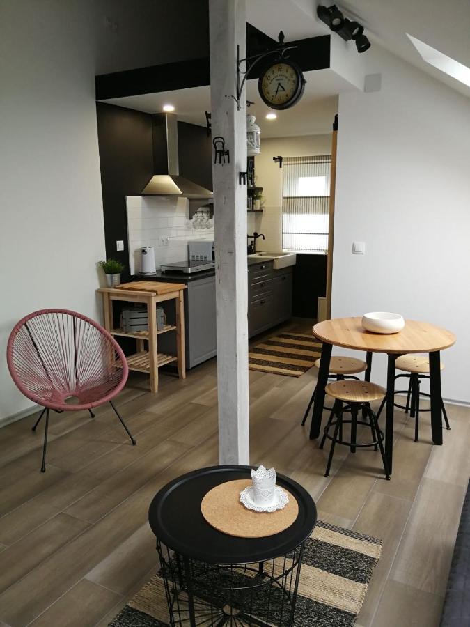 Studio Apartman Hana Apartment Drežnik Grad Exterior foto