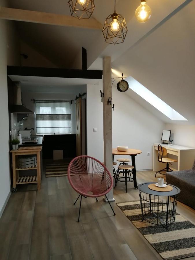 Studio Apartman Hana Apartment Drežnik Grad Exterior foto