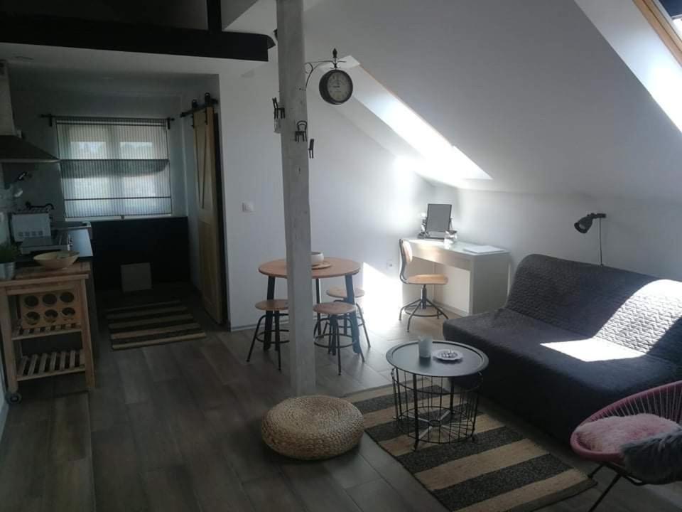 Studio Apartman Hana Apartment Drežnik Grad Exterior foto